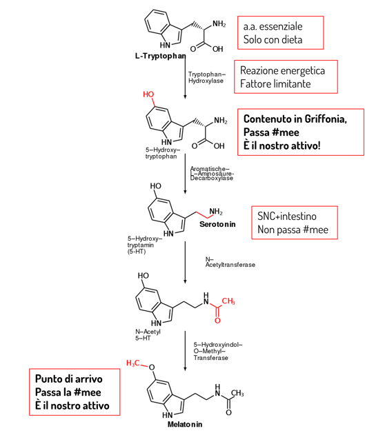 image-png-Sep-15-2022-08-52-32-15-AM